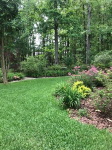 An image of my sister Sandy's gorgeous back yard